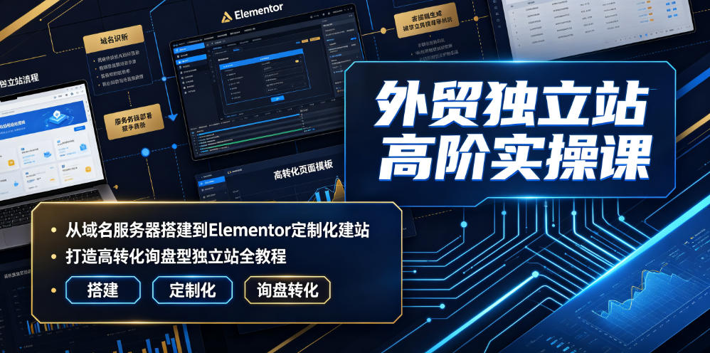 外贸独立站高阶实操课|从域名服务器搭建到Elementor定制化建站,打造高转化询盘型独立站全教程-云网创