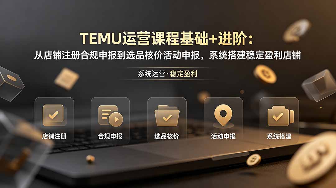 TEMU运营课程(基础+进阶-云网创