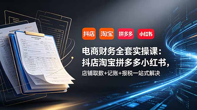 电商财务全套实操课:抖店淘宝拼多多小红书,店铺取数+记账+报税一站式解决-云网创