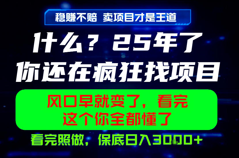 26年，请不要疯狂的找项目做了！卖项目才是真的稳賺不赔，看完照做，保底日入1k+【揭秘】-云网创