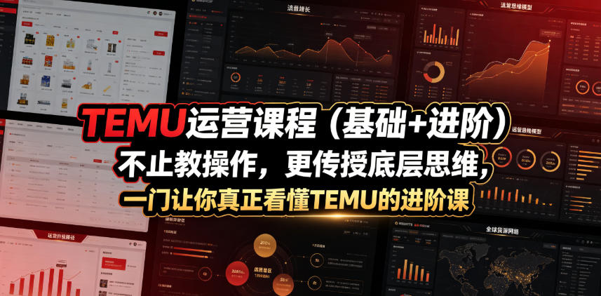 TEMU运营课程(基础+进阶),不止教操作,更传授底层思维,一门让你真正看懂TEMU的进阶课-云网创