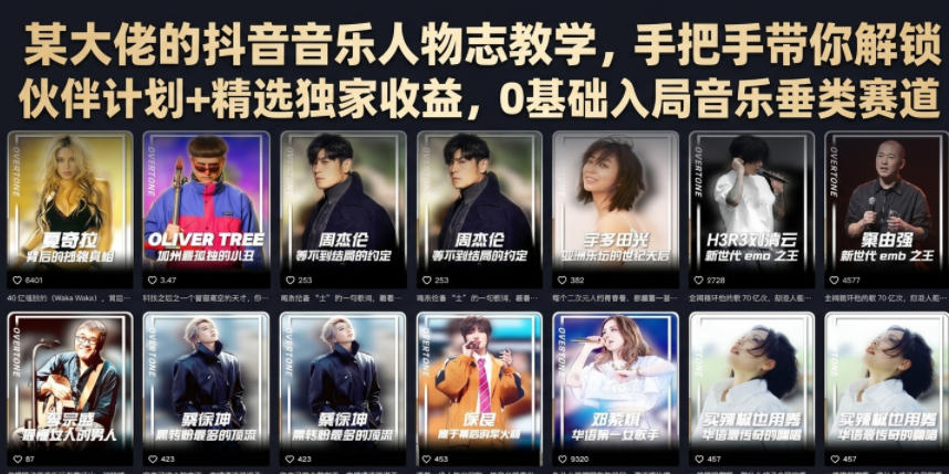 某大佬的抖音音乐人物志教学，手把手带你解锁伙伴计划+精选独家收益，0基础入局音乐垂类赛道-云网创