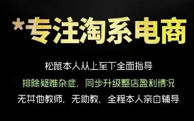 松鼠会电商VIP课程,从基础布局到高阶优化,助你掌握淘宝运营逻辑,提升店铺流量与转化(更新0703)-云网创