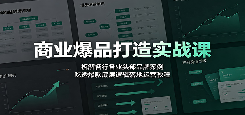 商业爆品打造实战课：拆解各行各业头部品牌案例，吃透爆款底层逻辑落地运营教程-云网创