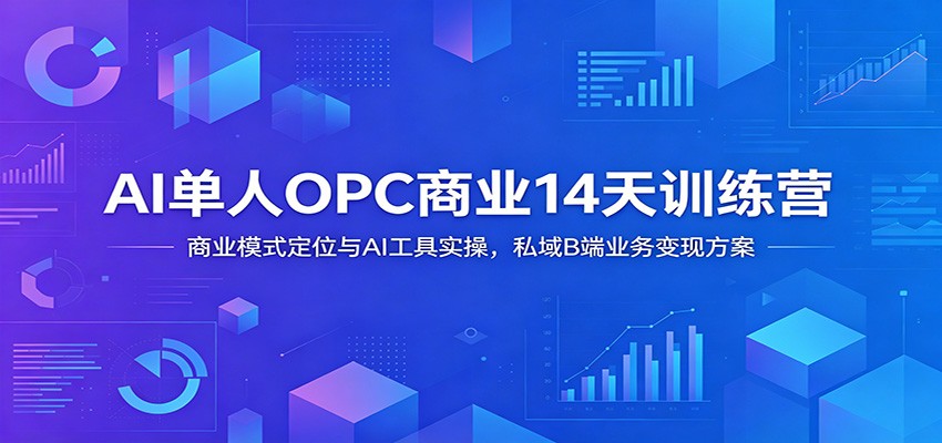 AI单人OPC商业14天训练营:商业模式定位与AI工具实操,私域B端业务变现方案-云网创